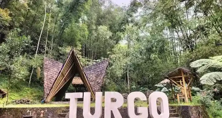 Hutan Pinus Turgo Sleman Hidden Gem Lereng Merapi