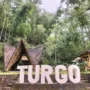 Hutan Pinus Turgo Sleman Hidden Gem Lereng Merapi