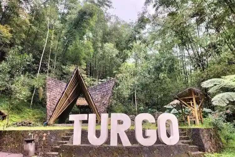 Hutan Pinus Turgo Sleman Hidden Gem Lereng Merapi