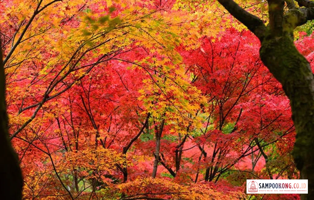 ritual autumnal equinox sederhana