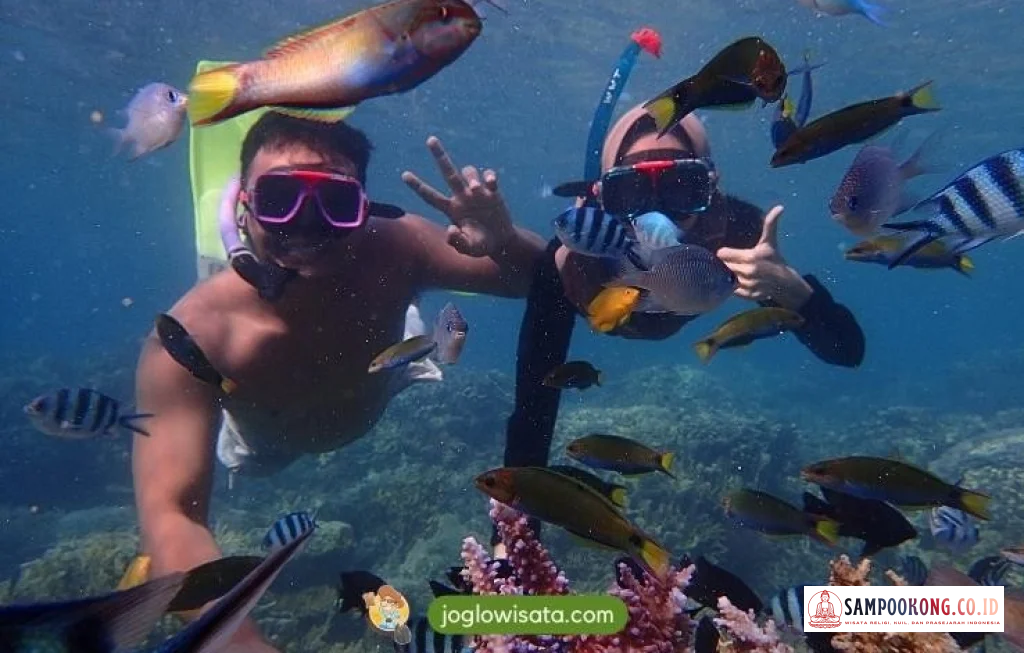 snorkeling karimunjawa pemula