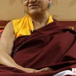 Vajrakilaya cutting three poisons