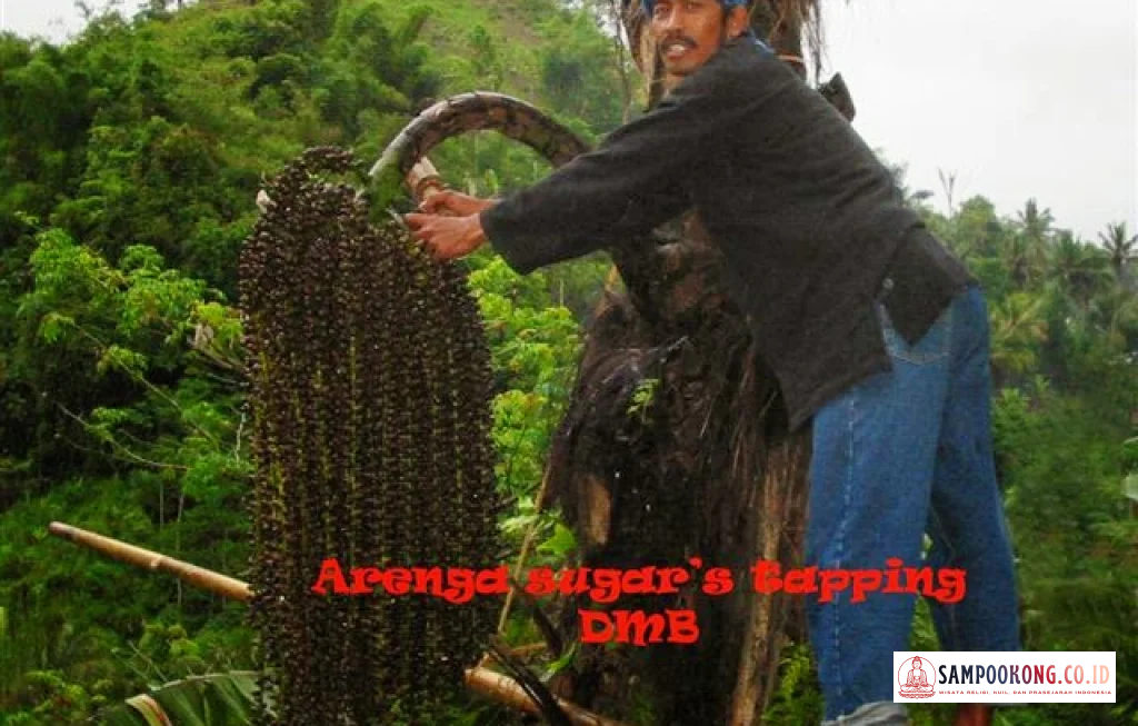 jembatan bambu penyadap nira