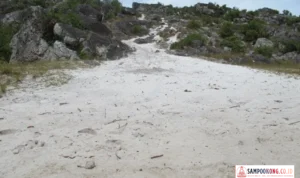 Pasir Putih Wamena Lembah Baliem