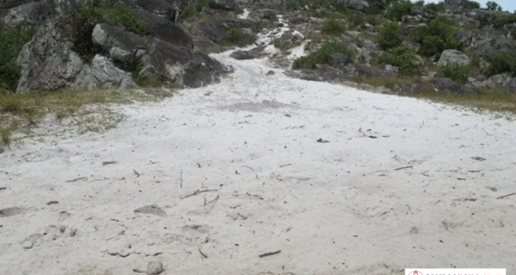 Pasir Putih Wamena Lembah Baliem