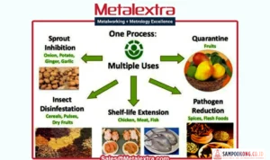 teknologi iradiasi makanan