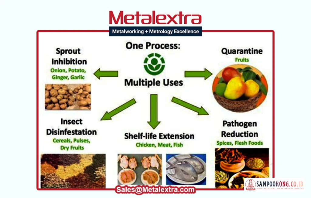 teknologi iradiasi makanan