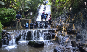 Pulesari
