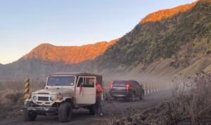 Bromo