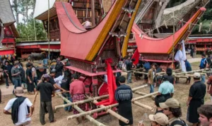 Suku Toraja, Mengenal Lebih Dekat Budaya yang Kaya Tradisi dan Warisan Leluhur