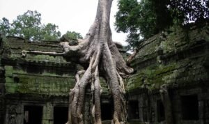Ta Prohm, Candi Angkor yang Dipeluk Akar Raksasa dan Menyimpan Jejak Jayavarman VII