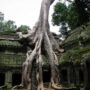 Ta Prohm, Candi Angkor yang Dipeluk Akar Raksasa dan Menyimpan Jejak Jayavarman VII